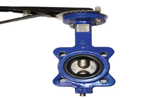 Butterfly valve class 150